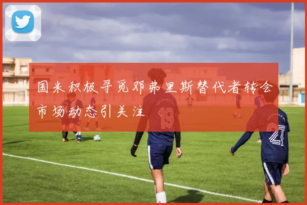国米积极寻觅邓弗里斯替代者转会市场动态引关注