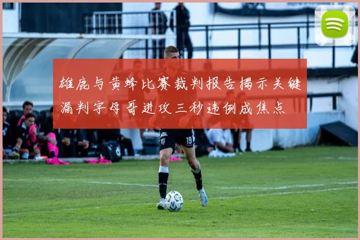 雄鹿与黄蜂比赛裁判报告揭示关键漏判字母哥进攻三秒违例成焦点