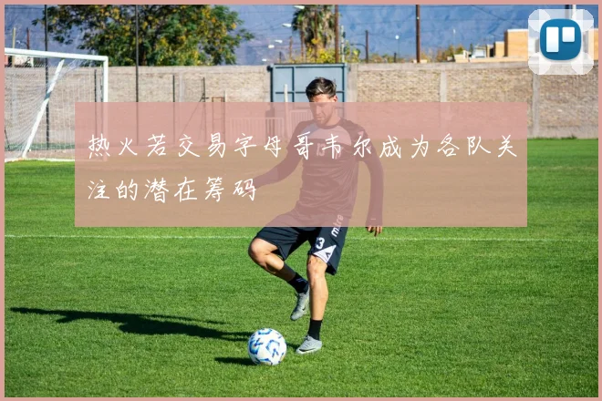 热火若交易字母哥韦尔成为各队关注的潜在筹码